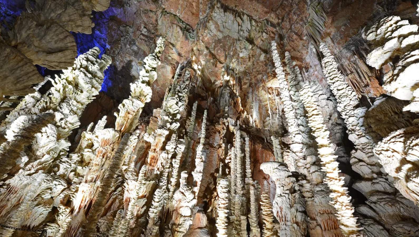 Visiter l’Aven Armand en Lozère : guide, tarifs et secrets du joyau de la Terre copie