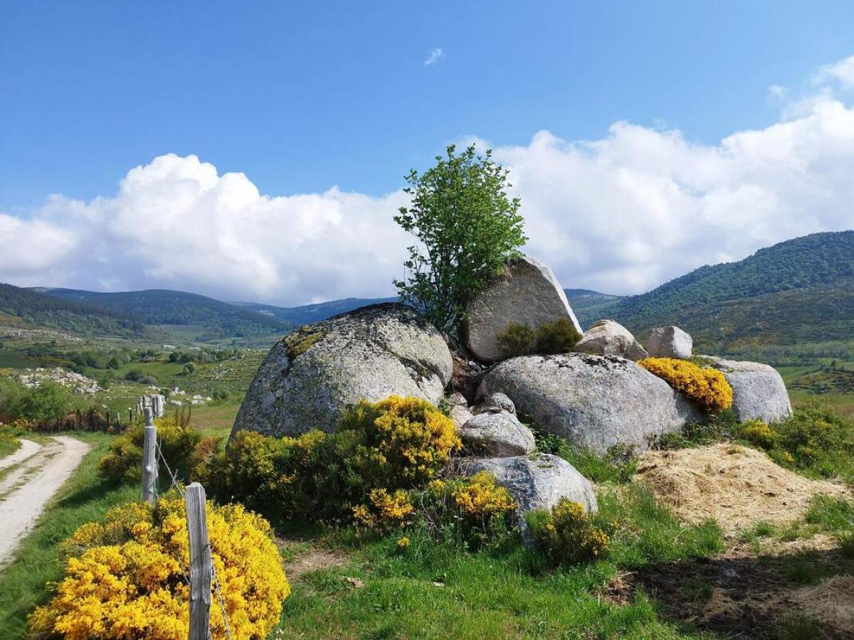 Randonnée sur le Chemin de Stevenson au départ de Florac