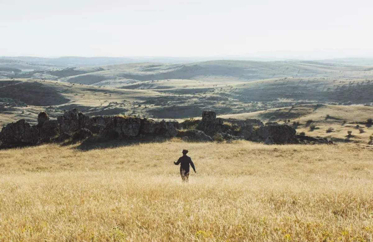 Visiter l’Aven Armand en Lozère : guide, tarifs et secrets du joyau de la Terre copie
