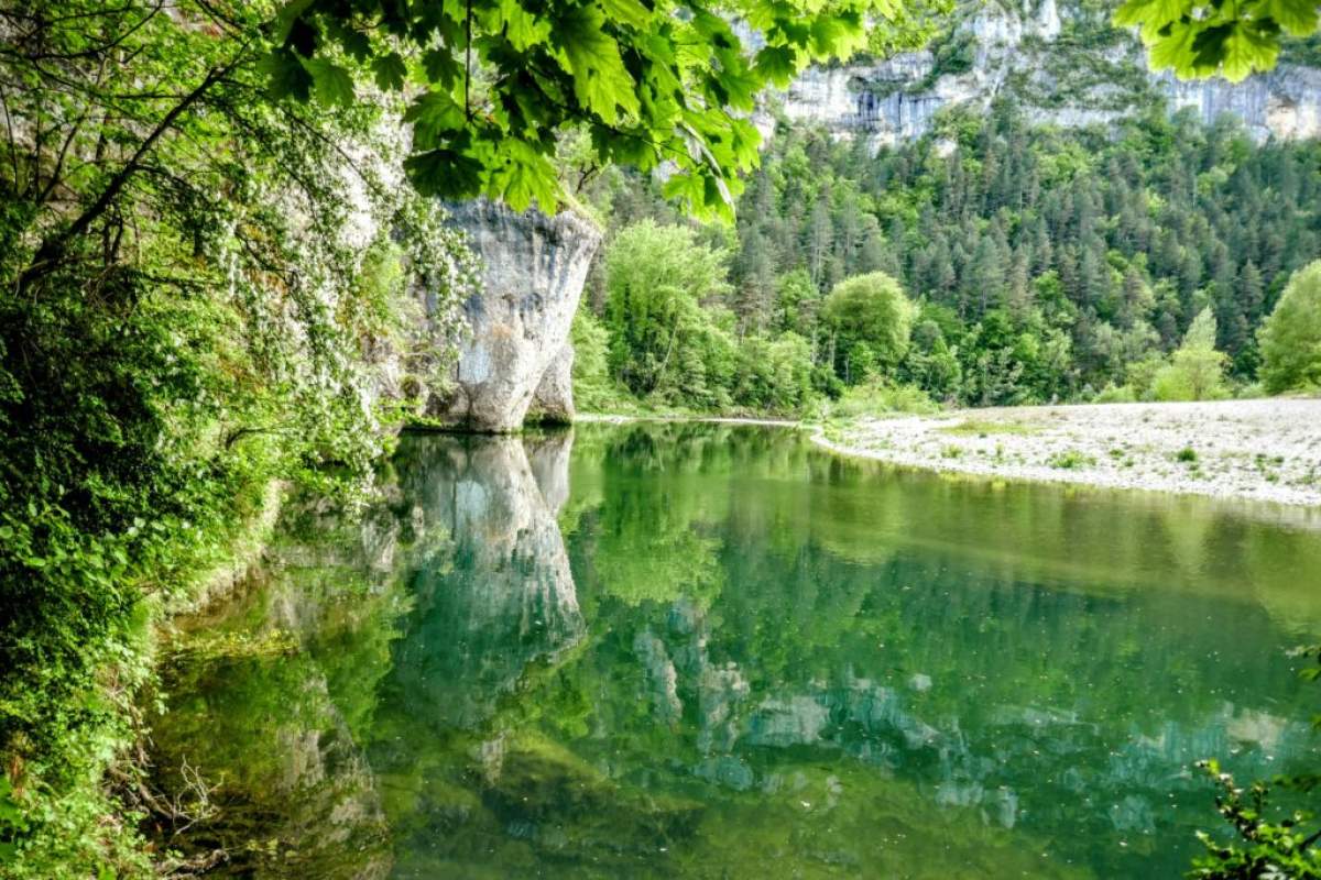 Visiter l’Aven Armand en Lozère : guide, tarifs et secrets du joyau de la Terre copie